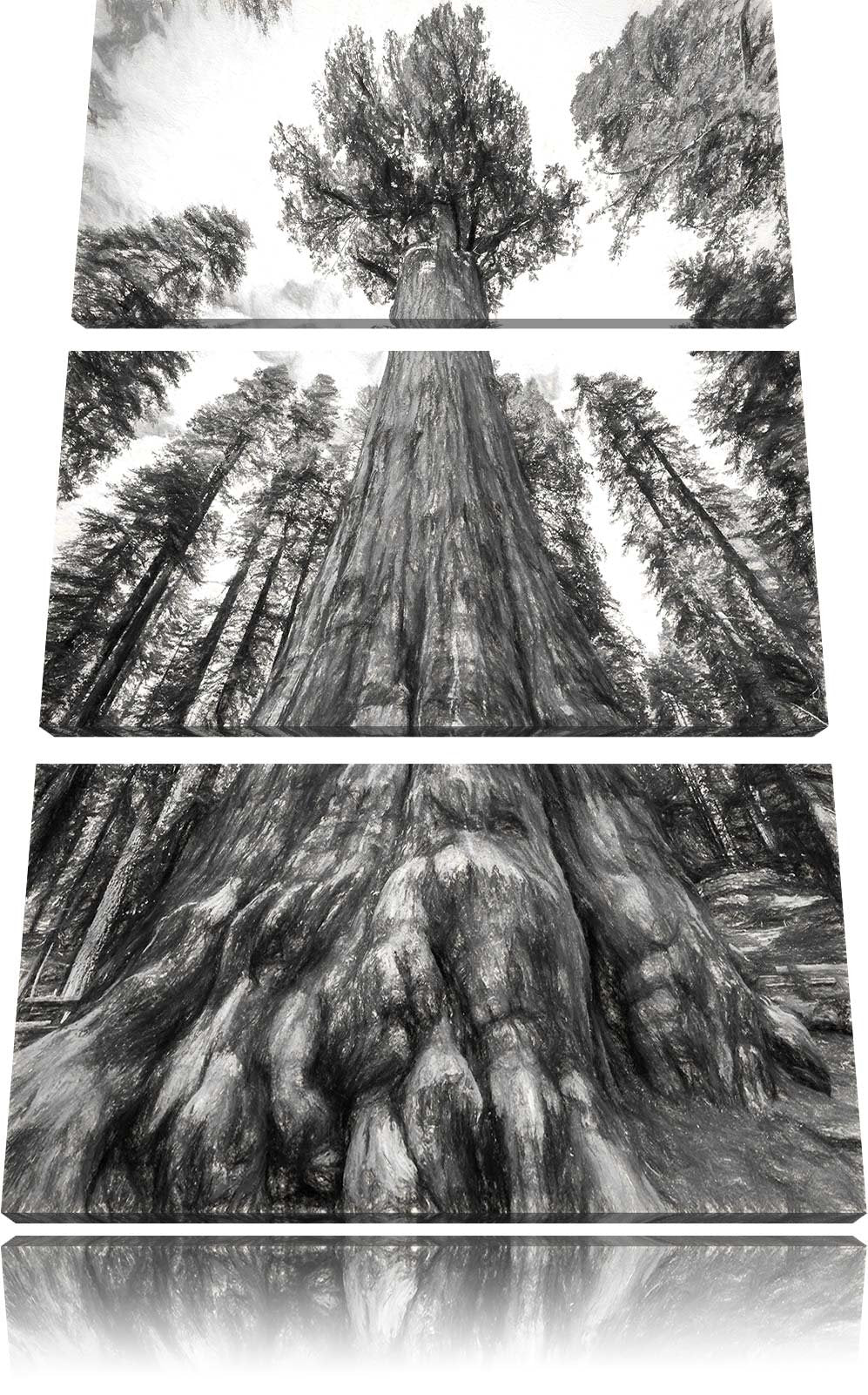Pixxprint Mammutbaum im Regenwald als Leinwandbild - Grösse: 3-Teilig (120x80cm) - Wandbild - Kunstd