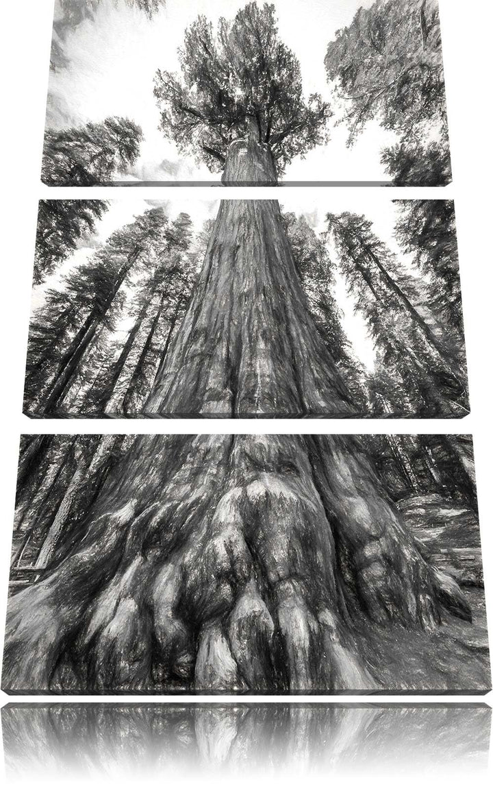 Pixxprint Mammutbaum im Regenwald als Leinwandbild - Grösse: 3-Teilig (120x80cm) - Wandbild - Kunstd