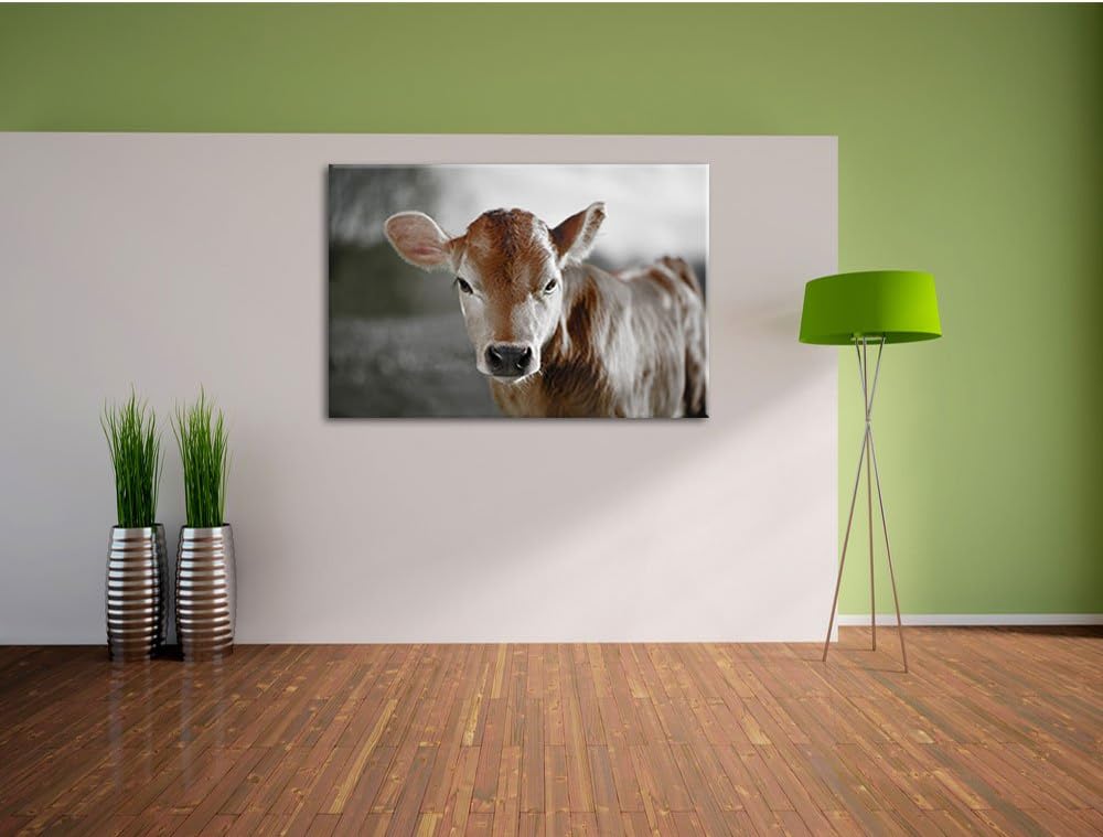 Pixxprint Junge Kuh Kälbchen als Leinwandbild/Grösse: 100x70 cm/Wandbild/Kunstdruck/fertig bespannt,