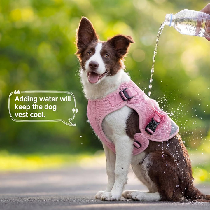 Hunde Kühlweste M, Atmungsaktive Kühlweste für mittelgrosse Hunde, Verdunstungskühlung, Leicht & Sau