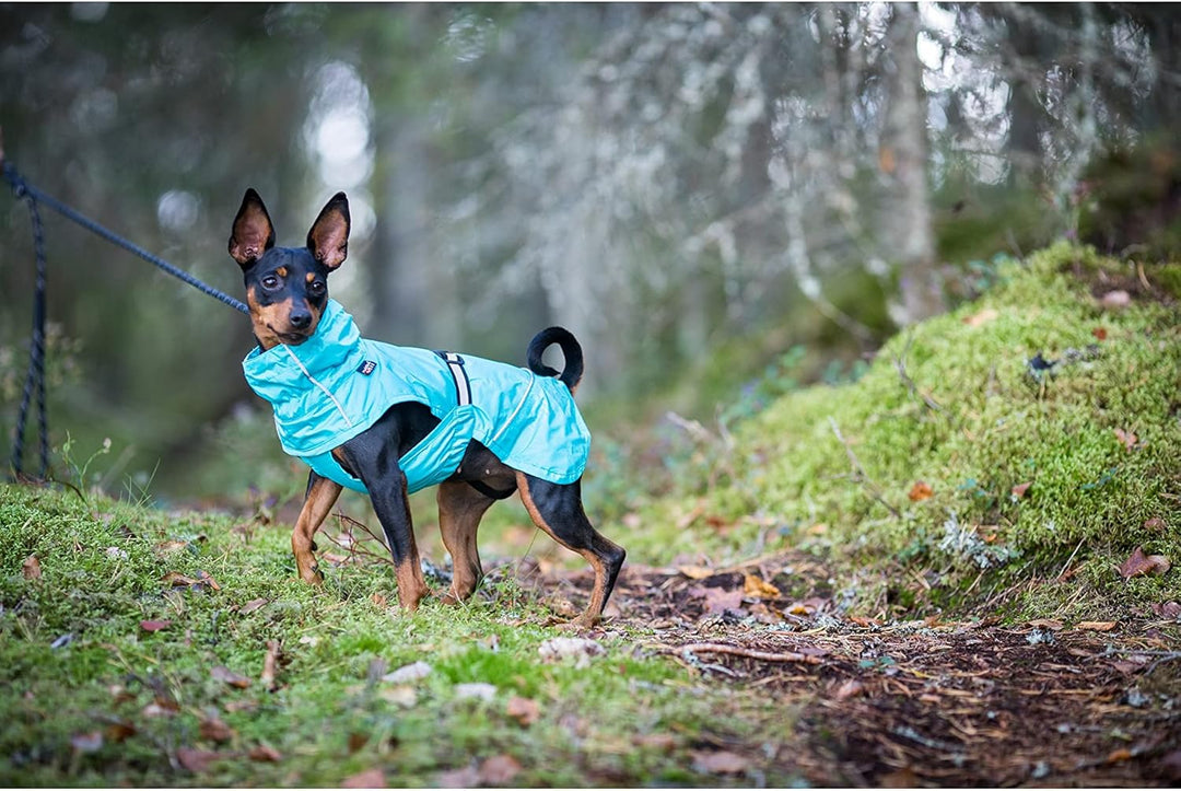 Rukka Pets HASE Regenmantel für Hunde Tuerkis 55 55 Tuerkis, 55 Tuerkis