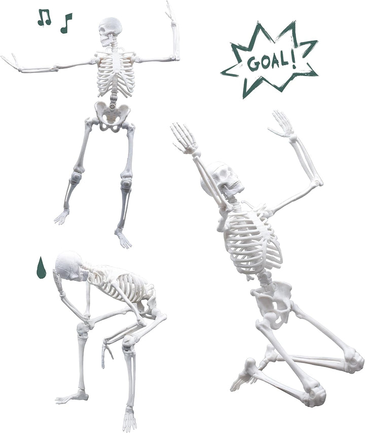 Buki - 2180 - Skelett 45 cm