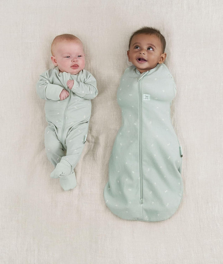 ergoPouch Baby Pucksack Cocoon, 0-3 Monate, Ganzjahres | Sage | TOG 1.0 | Bio-Baumwolle | Zwei-Wege