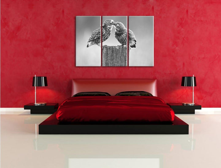 Pixxprint Küssende Eulen Kunst B&W als Leinwandbild/Grösse: 3 Teilig (120x80 cm) cm/Wandbild/Kunstdr