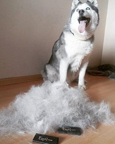 EzzyGroom Hundbürste Ezzy Katzenbürste Fellbürste Hit Fellpflege Hundekamm