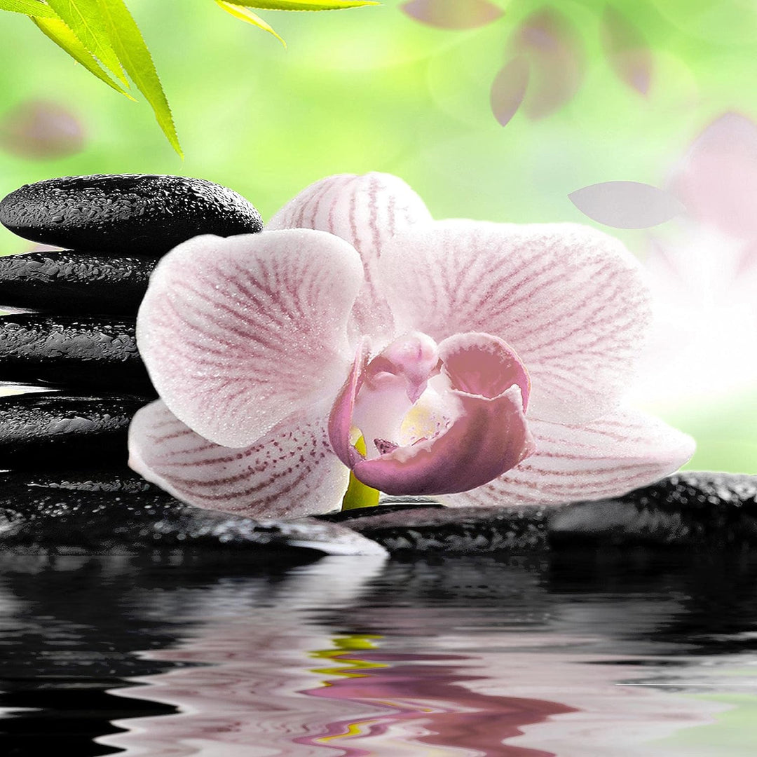 Runa Art Wandbilder Orchidee Feng Shui 5 Teilig Bild auf Vlies Leinwand Deko Wohnzimmer Schlafzimmer