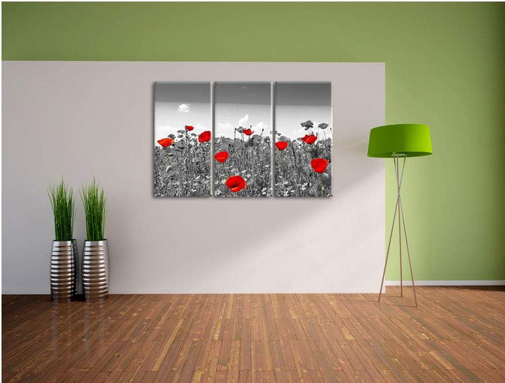 schöner rot leuchtender Mohn schwarz/weiss 3-Teiler Leinwandbild 120x80 Bild auf Leinwand, XXL riesi