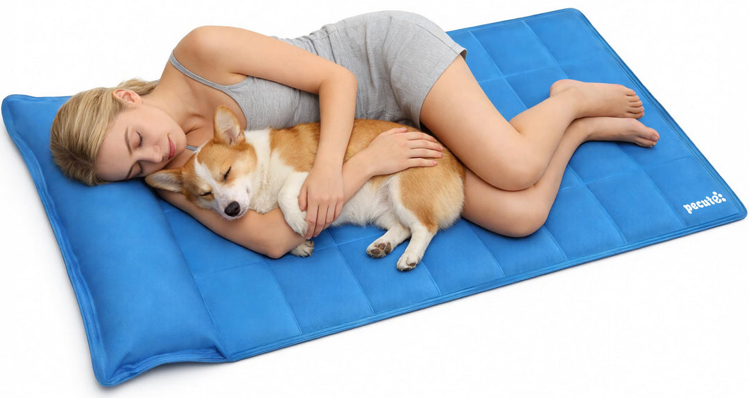 pecute Kühlmatte mit Kissen Hunde Katzen (140 * 90cm), Kuhlmatte für Hund und Katze mit Ungiftiges G