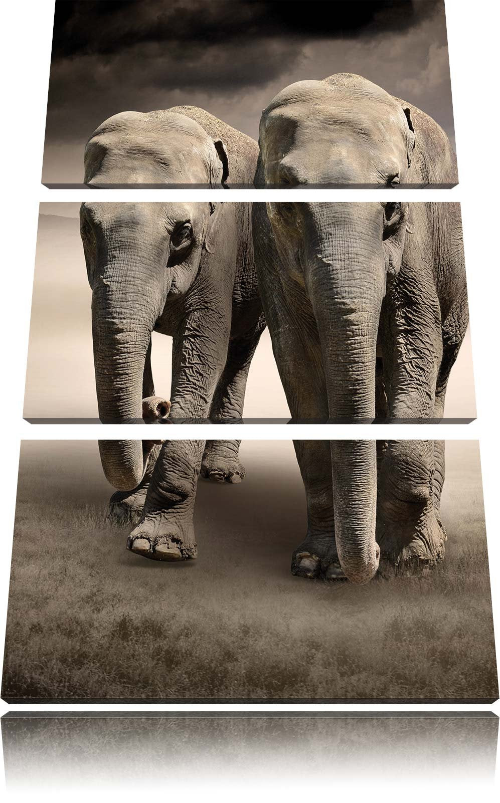 Pixxprint Zwei Elefanten in Steppe als Leinwandbild/Grösse: 3 Teilig (120x80) cm/Wandbild/Kunstdruck