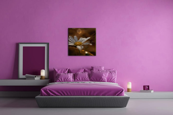 Margerite im Morgentau Format: 70x70 als Leinwandbild, Motiv fertig gerahmt auf Echtholzrahmen, Hoch