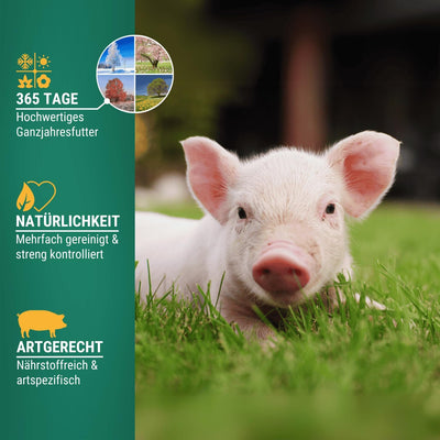 Agrarzone Minischweinfutter Pellets 25 kg - Weizen Schweinefutter 25KG für Minischweine und Zwergsch