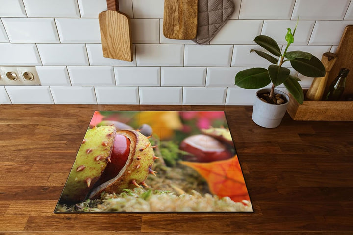 Erste Kastanie öffnet sich Herdabdeckplatte & Spritzschutz aus Echtglas | Für Herd-Kochfelder | 60x5