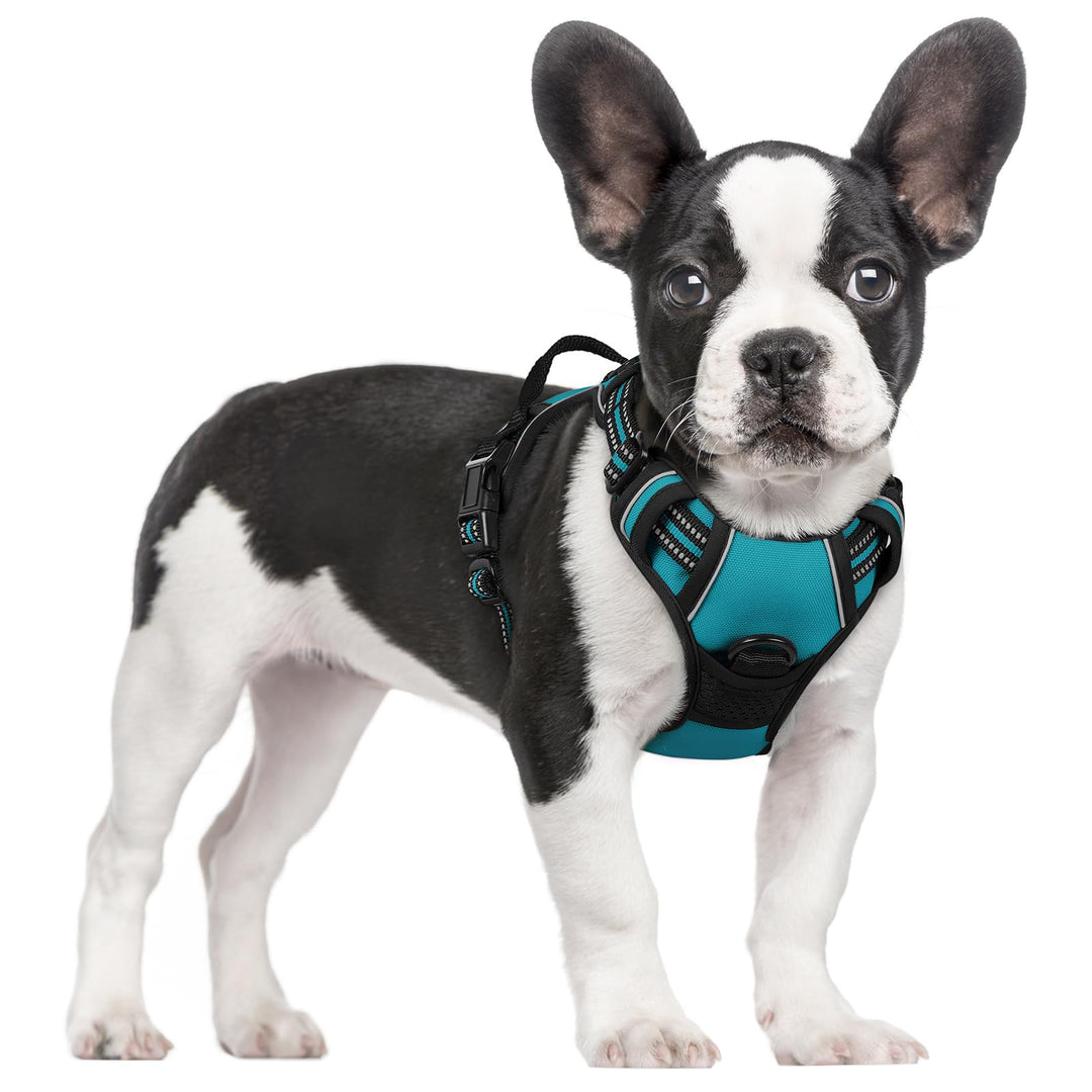 rabbitgoo Hundegeschirr Mittelgrosse Hunde, Anti Zug Geschirr mit Kontrolle, No Pull Verstellbar Hun