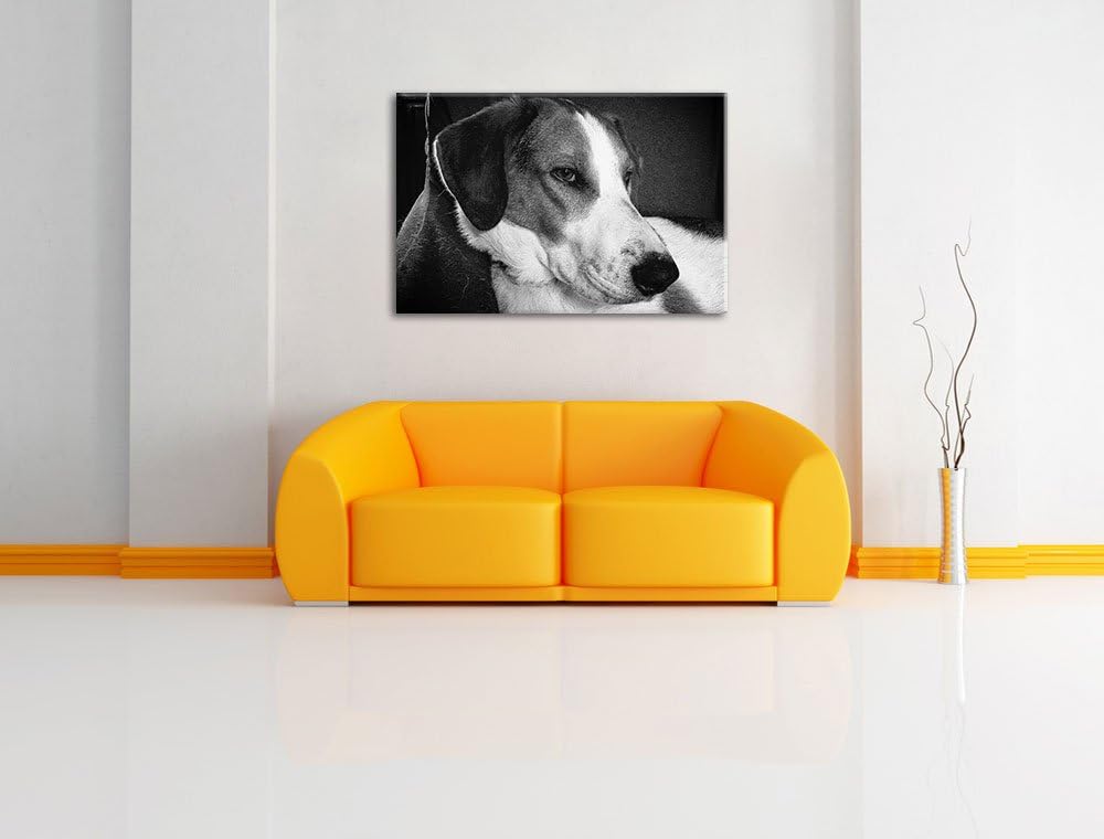 Jack Russel Terrier ruht sich aus auf Leinwand, XXL riesige Bilder fertig gerahmt mit Keilrahmen, Ku