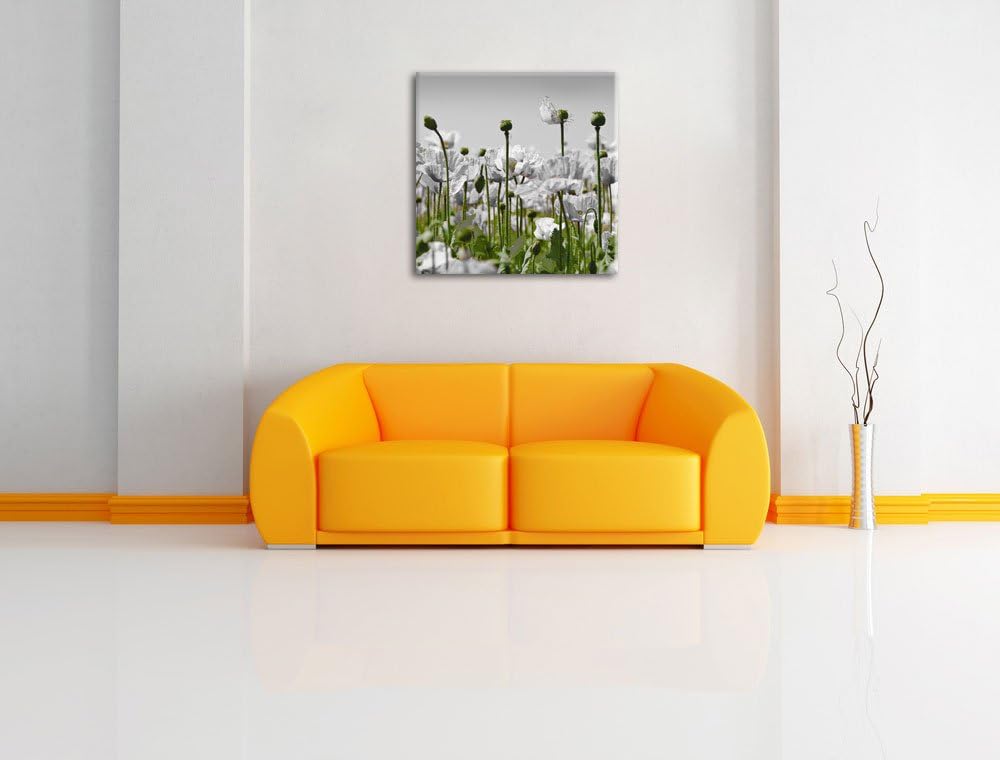 Pixxprint Blumenwiese Mohnblumen schwarz/weiss, Format: 70x70 als Leinwandbild, 70x70