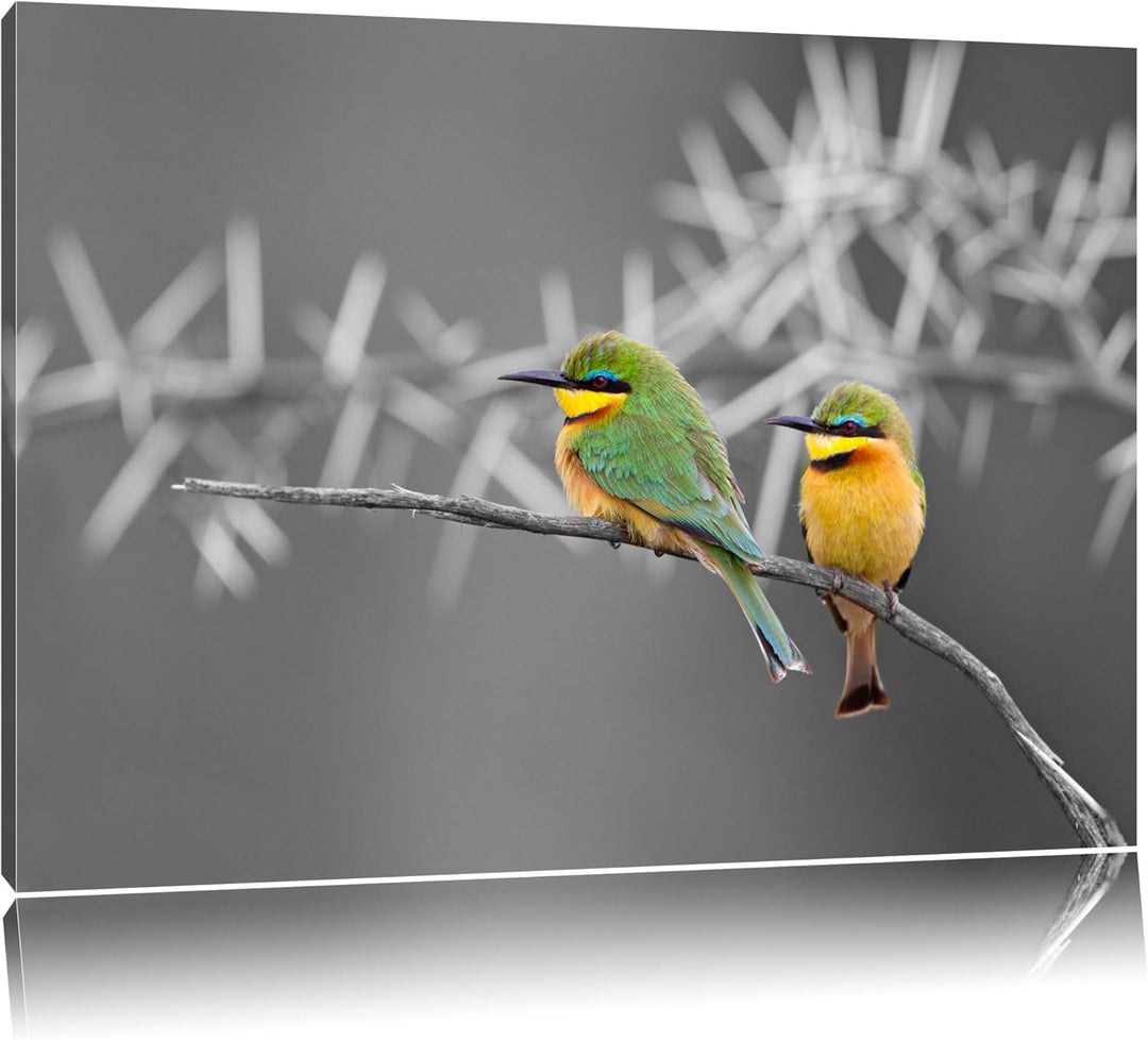 exotische Vögel auf Ast schwarz/weiss Format: 100x70auf Leinwand, XXL riesige Bilder fertig gerahmt