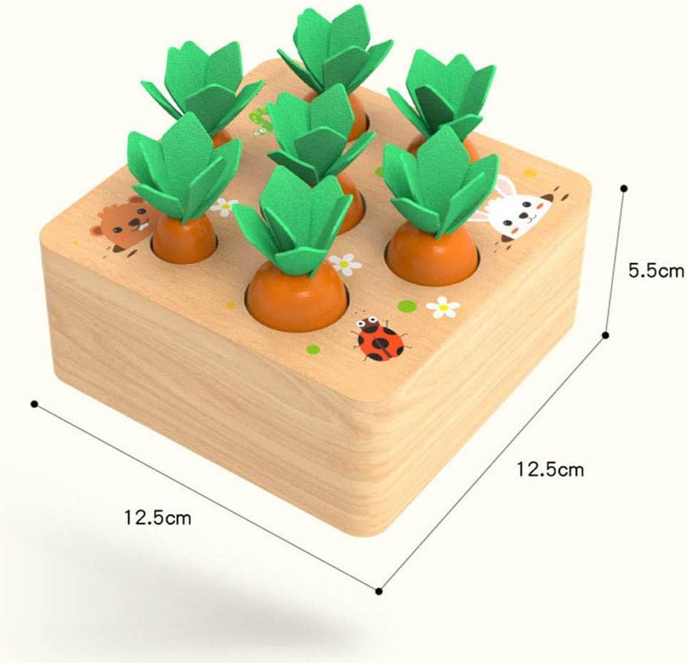 XIAPIA Holzspielzeug ab 1 Jahr | Baby Motorik Spielzeug für 12 Monate Jungen und Mädchen | Montessor