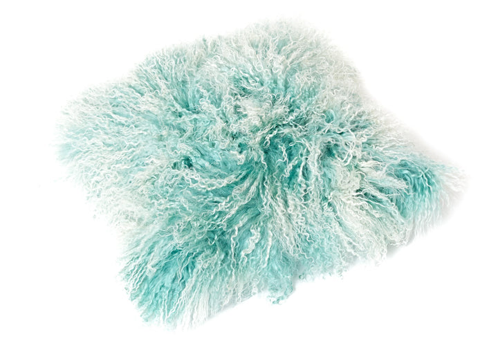 Reissner Lammfelle Tibet Lammfell Kissenbezug langflorig 30x30cm JYB05 Farbe Mint/weiss (Tops) Jyb05
