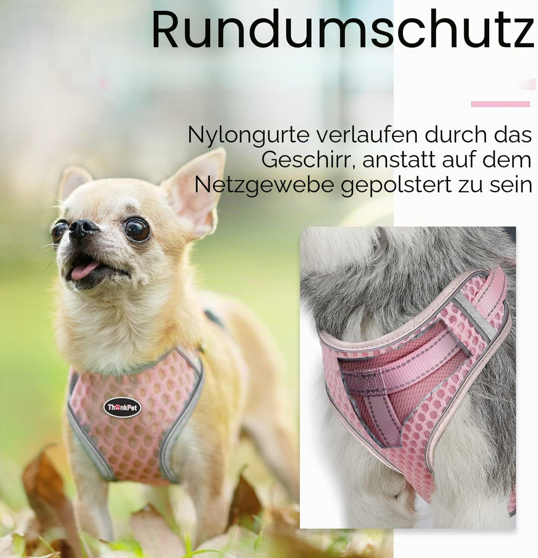 ThinkPet No-Pull Hundegeschirr Leine Set, Atmungsaktiv Brustgeschirr für Kleine Mittlere Grosse Hund