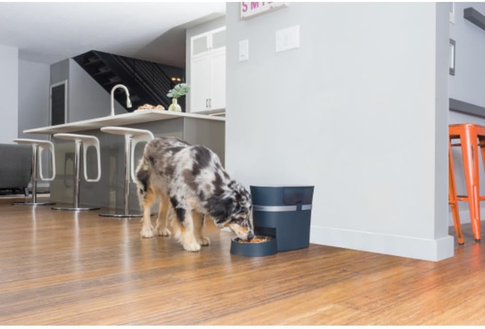 PetSafe Smart Feed Futterautomat, Mit Smartphone-Steuerung per App, Für Trockenfutter geeignet, 1,5