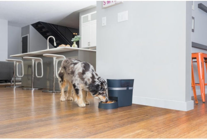 PetSafe Smart Feed Futterautomat, Mit Smartphone-Steuerung per App, Für Trockenfutter geeignet, 1,5
