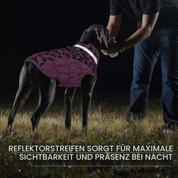 Kuoser Warme Hundejacke, Reflektierende Hundemantel, Winddichte Hundemantel für Kleine Hunde,Moden H