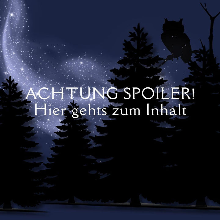 Adventskalender Zauberhafte Eulenpost: 24 Überraschungen für Papeterie-Lover: Box mit Magnetverschlu