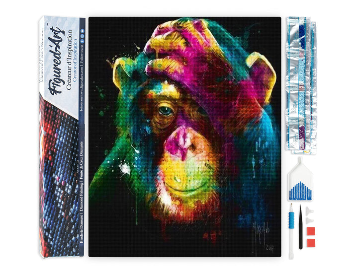 Figured'Art Diamond Painting Erwachsene 40x50cm Ganze Leinwand gerollt Bunter Affe 5D Bilder Eckige