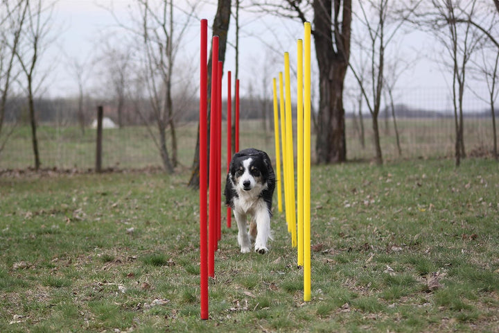 Agility-Set für Hunde - Rot/Gelb - Übungs-Hürden/Slalom-Stangen-Set - Ohne Werkzeug auf/abzubauen -