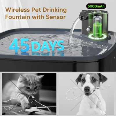 Kittyspout Trinkbrunnen für Hunde Kabellos, 8L/ 270 oz Grosse Hundebrunnen/Katzenbrunnen mit Bewegun