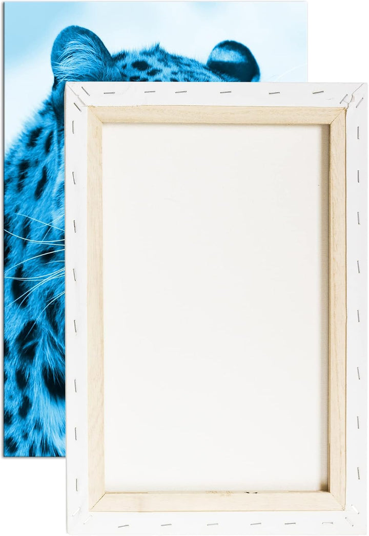 deyoli süsser Leopard Format 100x70 Effekt: Monocrome Blau als Leinwandbild, Motiv fertig gerahmt au