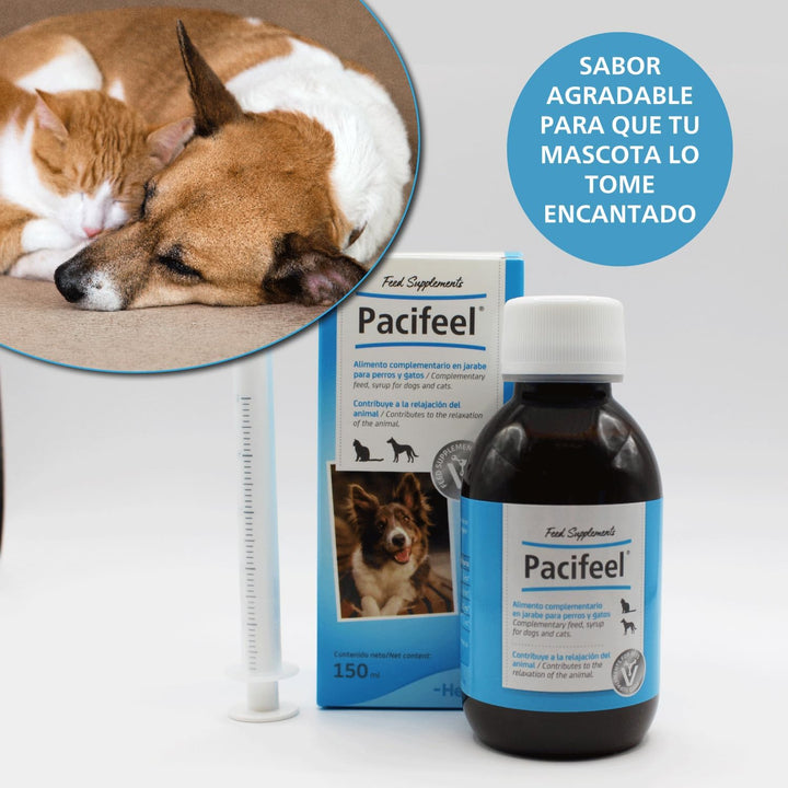 Pacifeel 18533 Pacific 100 ml Syrup, Plastic