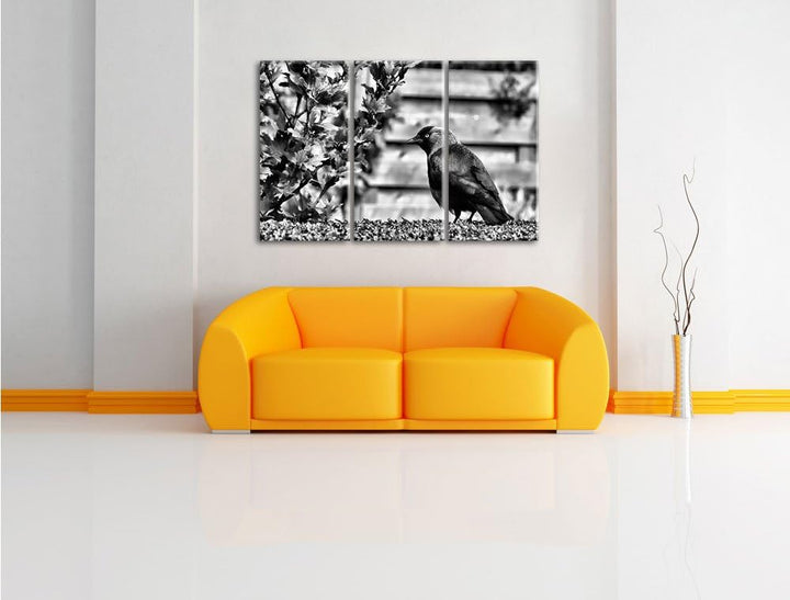 Pixxprint Vogel auf Gartenwiese als Leinwandbild/Grösse: 3 Teilig (120x80) cm/Wandbild/Kunstdruck/fe