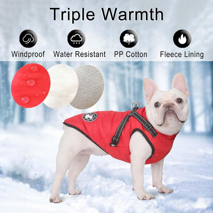LUOWAN Hundemantel für kleine Hunde, Hundemantel mit Geschirr, Reflektierende Outdoor-Hundeweste, Wi