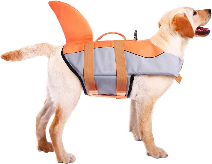 CITÉTOILE Schwimmweste Hunde Hai, Leicht und Sicher für Wassersport, hundeschwimmweste mit Griff und