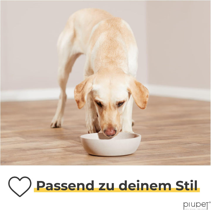PiuPet® Futternapf I 2 x 1,6L I Beige I Spülmaschinenfest I 21,5cm Durchmesser I Hundenapf Grosse Hu