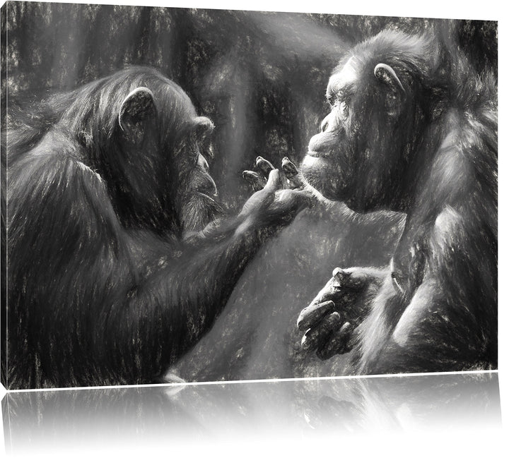 Pixxprint Schimpansen Freundschaft Kunst / 100x70cm Leinwandbild bespannt auf Holzrahmen/Wandbild Ku