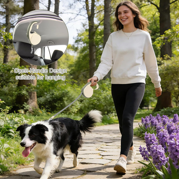 Einziehbare Hundeleine, 5 m, mit rutschfestem, ergonomischem Griff für kleine und mittelgrosse Hunde