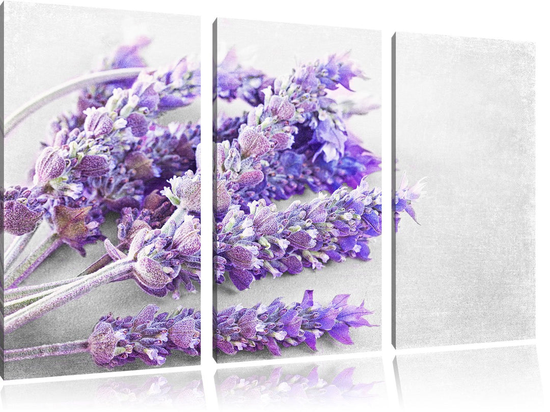 Pixxprint getrockneter Lavendel als Leinwandbild | Grösse: 3 Teilig (120x80) | Wandbild| Kunstdruck