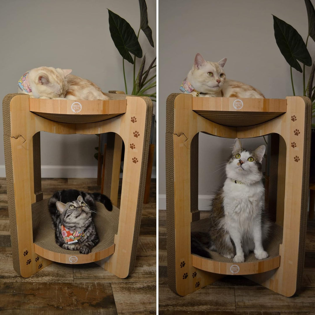 Cozy Kratzschale für Katzen, Grösse XL, b.Tower (Eiche) Large Tower Oak, Large Tower Oak