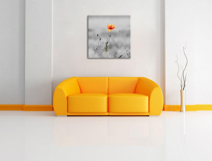 Pixxprint Rote Mohnblume im Feld als Leinwandbild/Grösse: 70x70 cm/Wandbild/Kunstdruck/fertig bespan