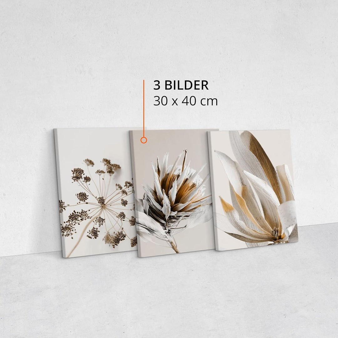 Muralo - Wandbilder Set - Leinwand Bilder Set Aufhängefertig - das Leinwandbilder Set - Bilder für W
