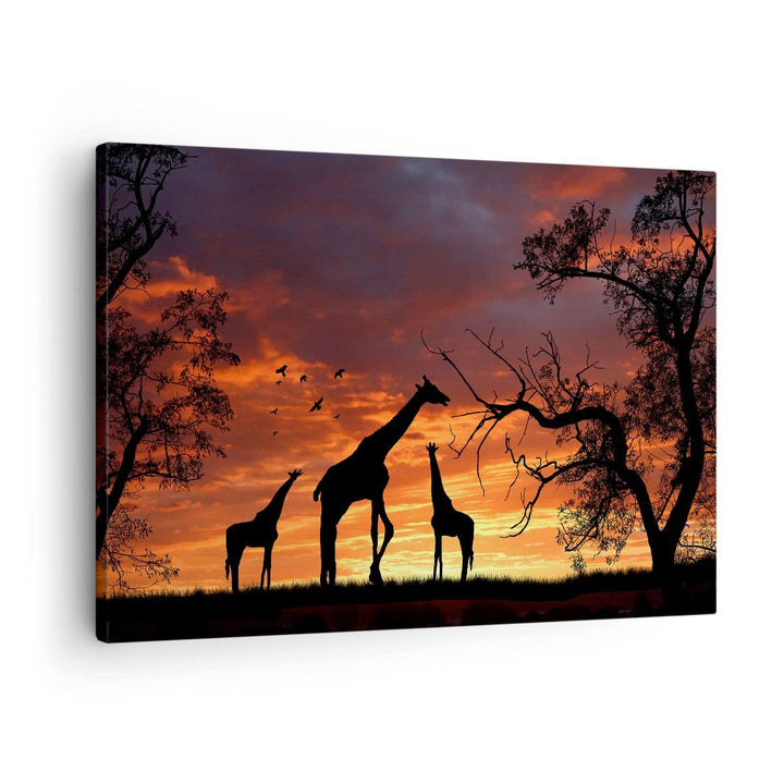 Bilder auf Leinwand Giraffe Afrika Sonne Safari Leinwandbild 70x50cm Wandbilder Dekoration Wohnzimme
