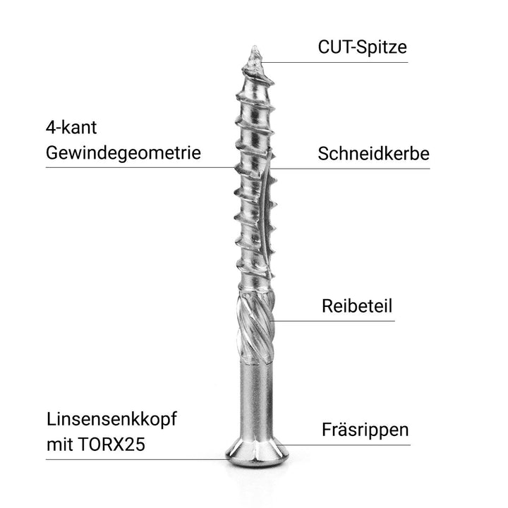 Terrassenschrauben Edelstahl 5x60mm 500 Stück von PROFICA gehärtet incl. PROFICA VA Bit Torx 25 und