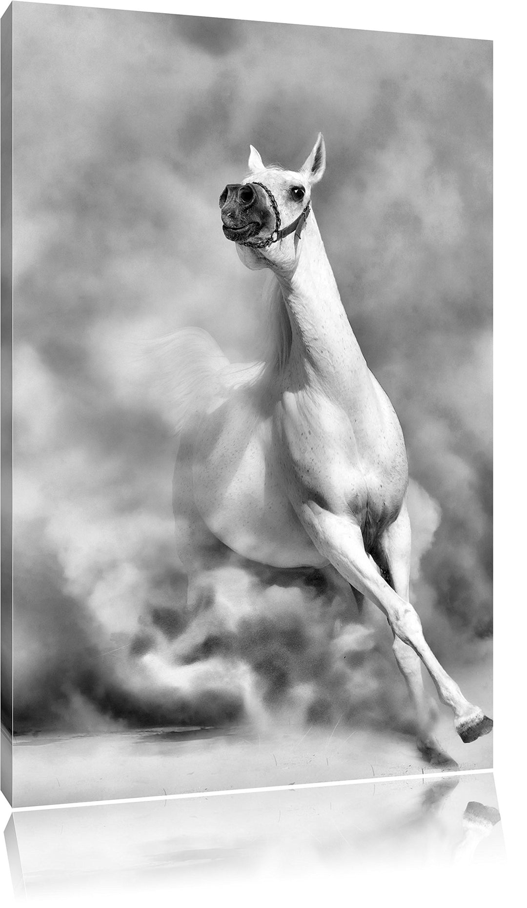 Pixxprint Weisses Pferd in der Wüste als Leinwandbild | Grösse: 100x70 cm | Wandbild | Kunstdruck |