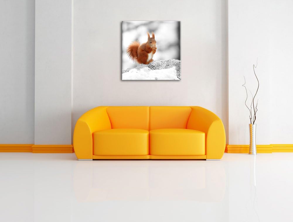 Pixxprint Eichhörnchen in verschneitem Wald als Leinwandbild/Grösse: 70x70 cm/Wandbild/Kunstdruck/fe