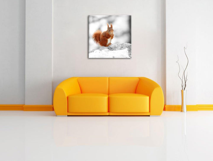 Pixxprint Eichhörnchen in verschneitem Wald als Leinwandbild/Grösse: 70x70 cm/Wandbild/Kunstdruck/fe