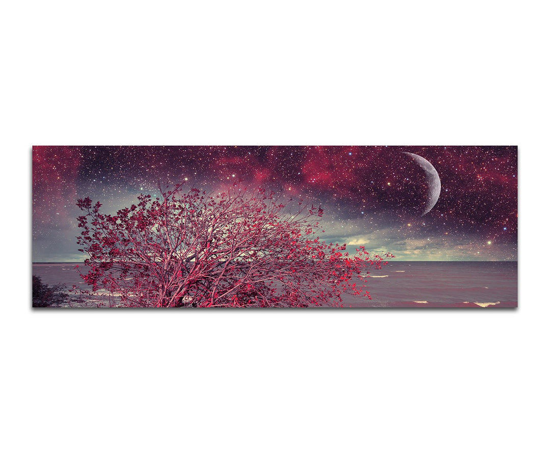 Paul Sinus Art Panoramabild auf Leinwand und Keilrahmen 150x50cm Meer Küste Busch Nacht Sterne Mond