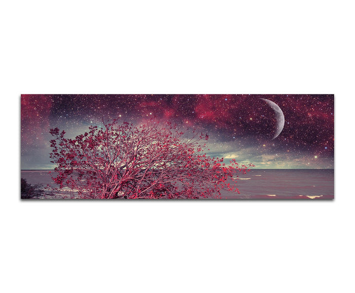 Paul Sinus Art Panoramabild auf Leinwand und Keilrahmen 150x50cm Meer Küste Busch Nacht Sterne Mond