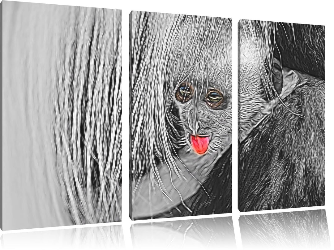 bildschönes Colobus-Äffchen schwarz/weiss Deluxe 3-Teiler Leinwandbild 120x80 Bild auf Leinwand, XXL